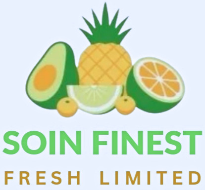 Soin Finest Logo